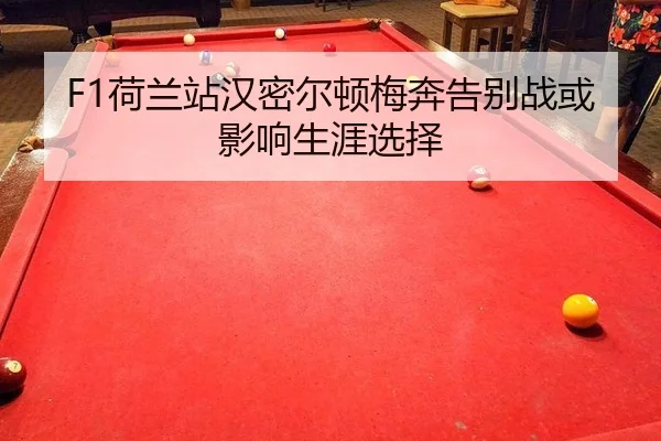 he-lan-zhan-han-mi-er-dun-mei-ben-gao-bie-zhan-huo-ying-xiang-sheng-ya-xuan-ze-3-560.jpg