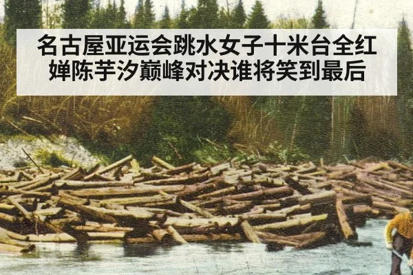 名古屋亚运会跳水女子十米台全红婵陈芋汐巅峰对决谁将笑到最后